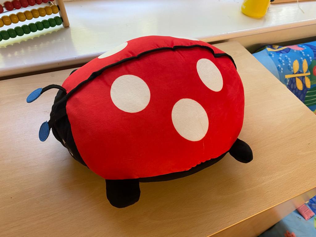 What are we going to call our class mascot? 